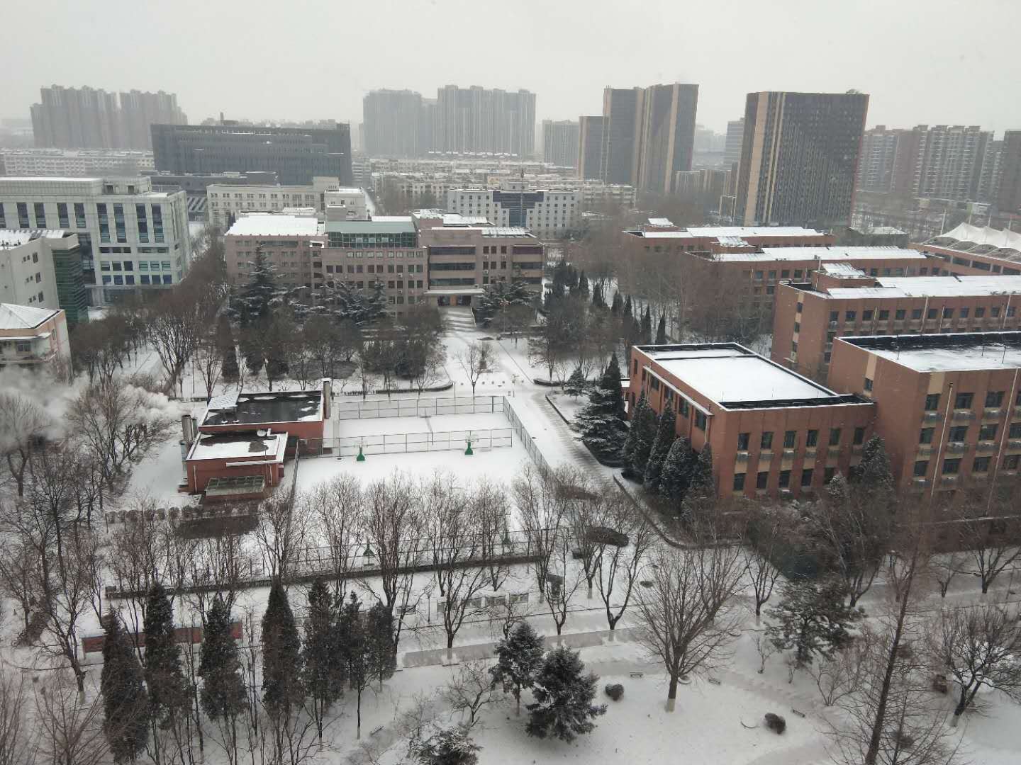 教A楼顶俯瞰校园.jpg