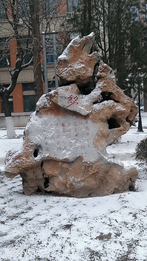 秋实园 (3).jpg